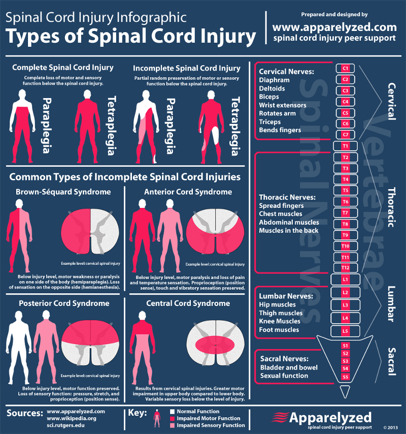 Types-of-Spinal-Cord-Injuries